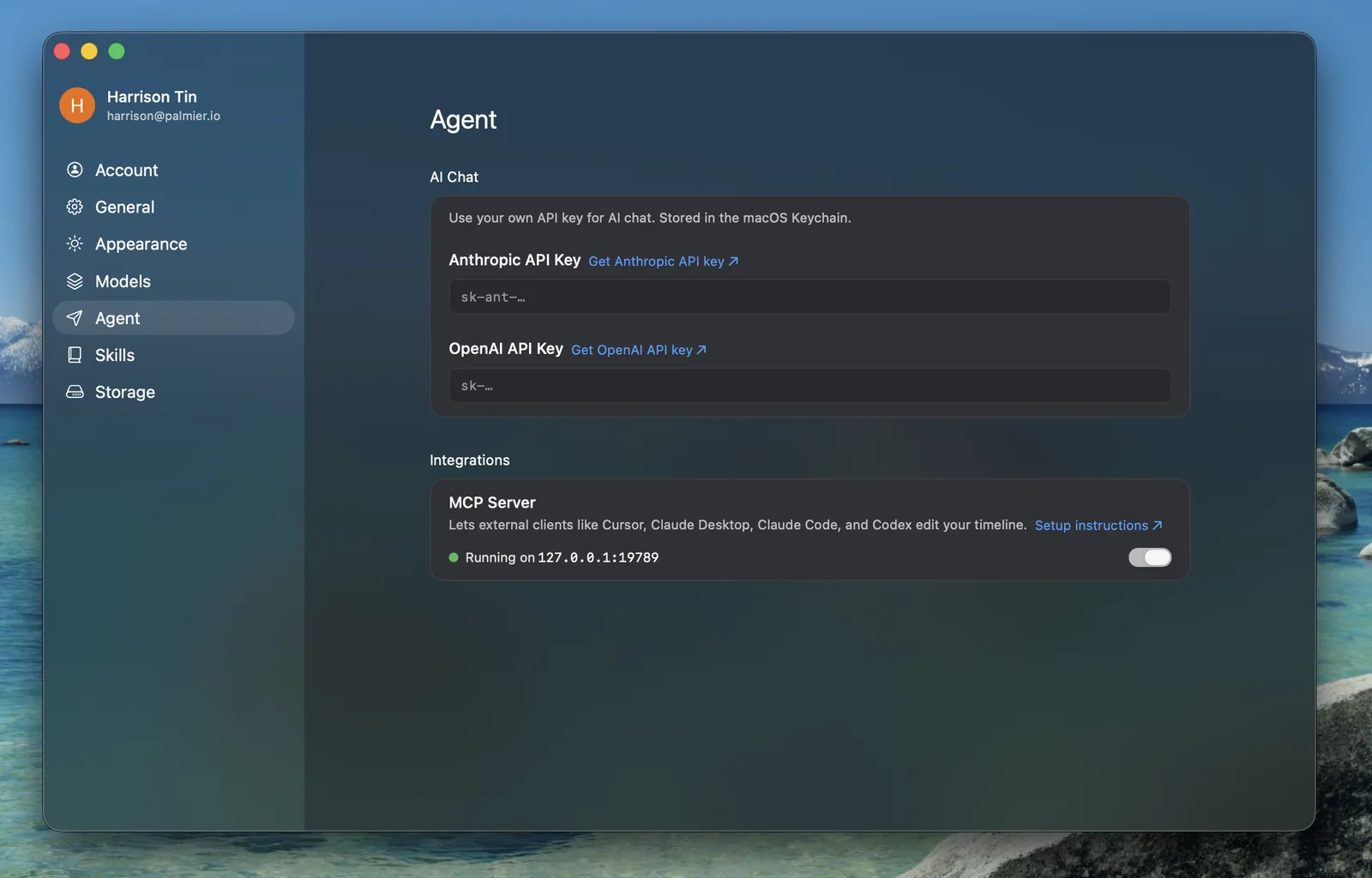 Palmier Pro Agent settings with API key and MCP server controls