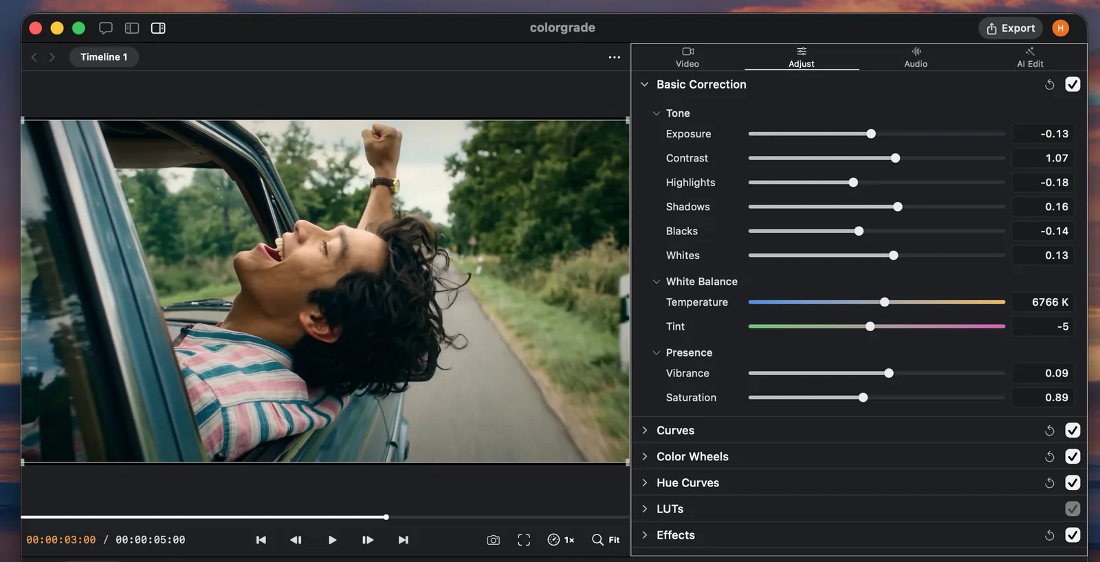 Palmier Pro primary color correction controls