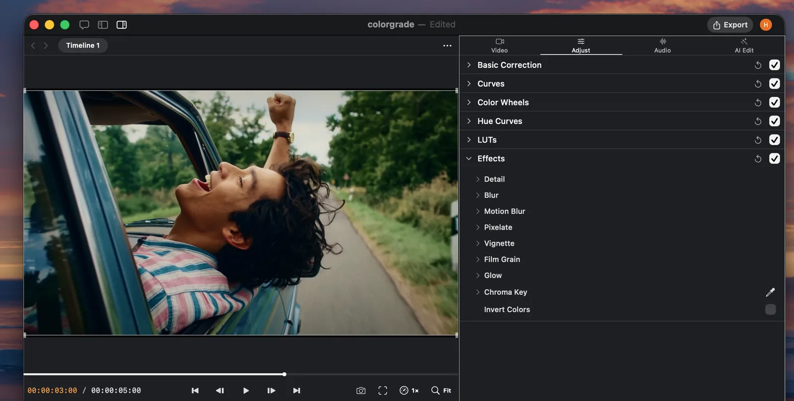 Palmier Pro visual effects controls