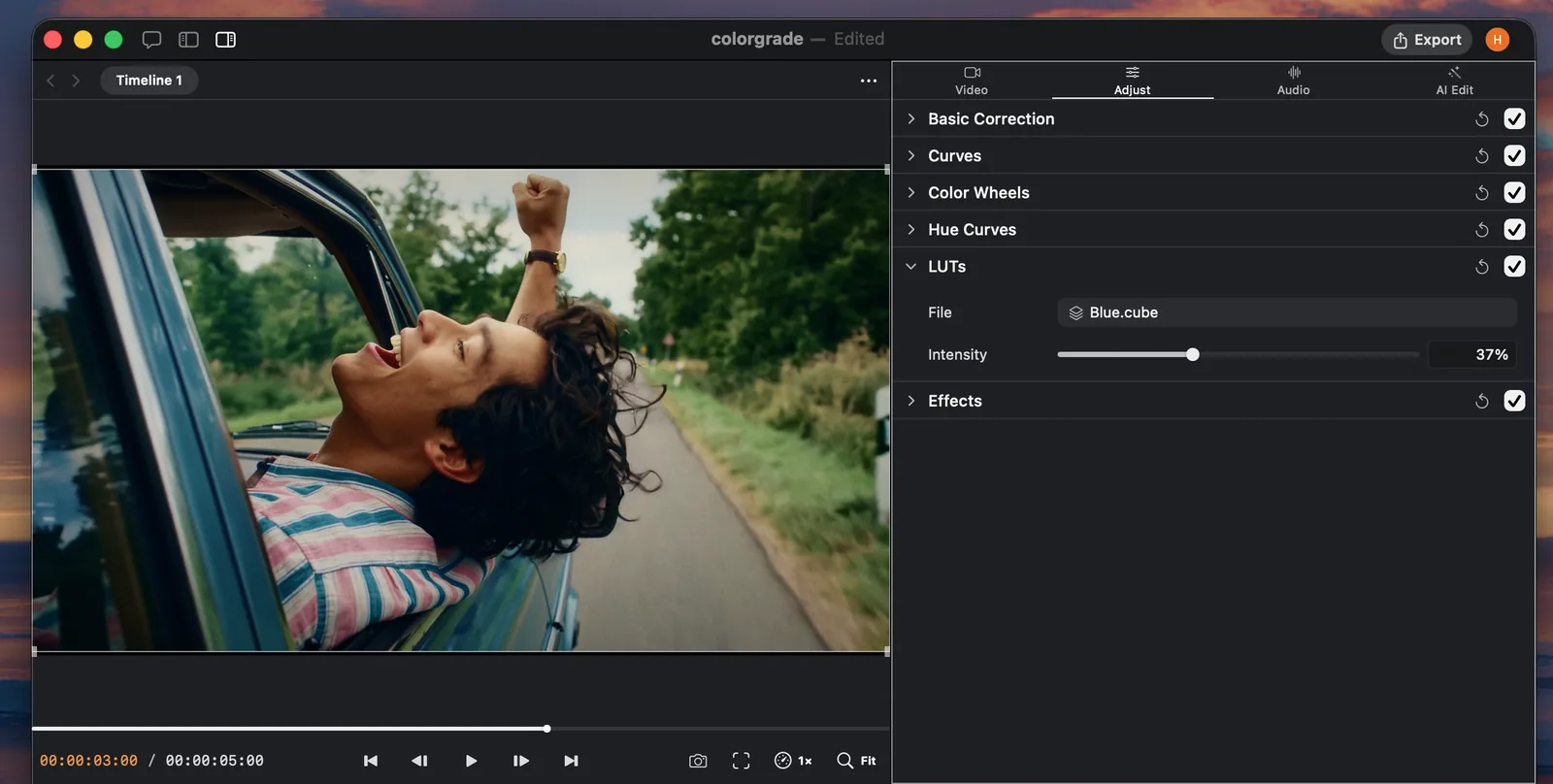 Palmier Pro LUT file and intensity controls